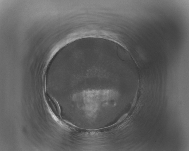 X0000076431515200610161139