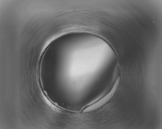 X0000076431531200610161139