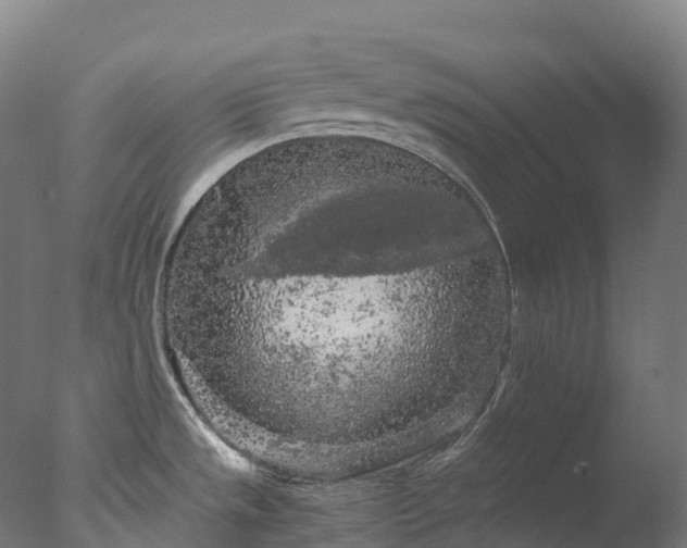 X0000076431533200610161139