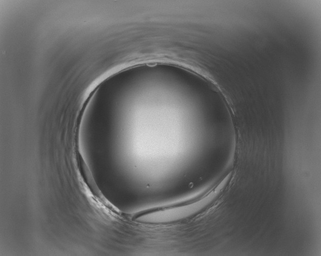 X0000076431534200610161139