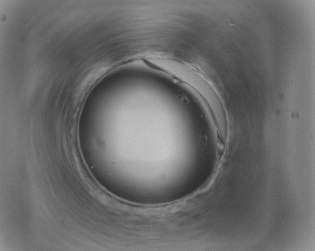 X0000076430001200610202256