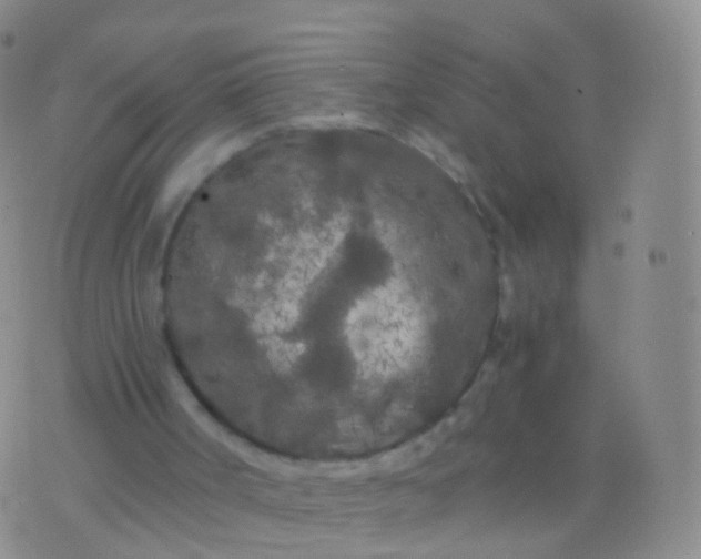 X0000076430002200610202256