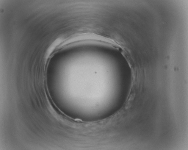 X0000076430003200610202256