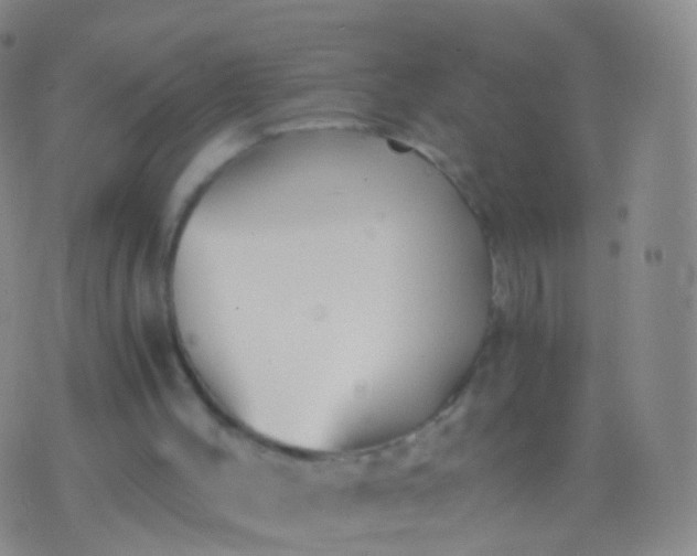 X0000076430004200610202256