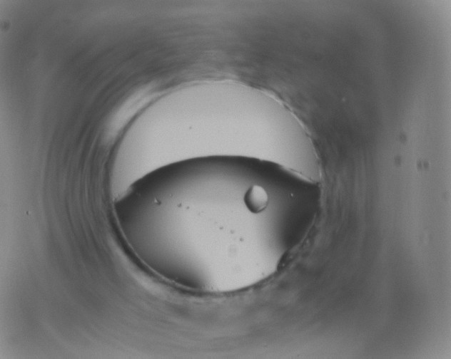 X0000076430005200610202256