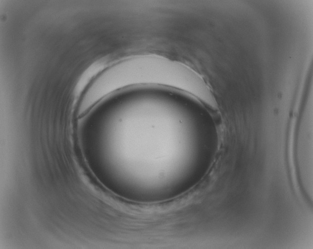 X0000076430006200610202256