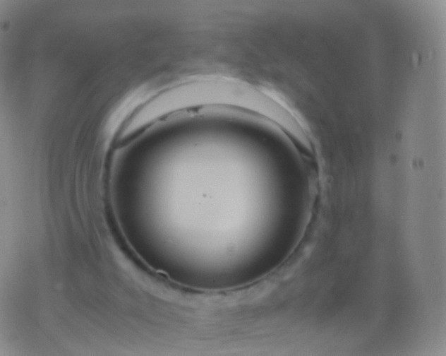 X0000076430007200610202256