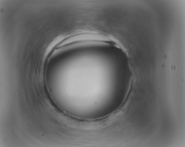 X0000076430008200610202256