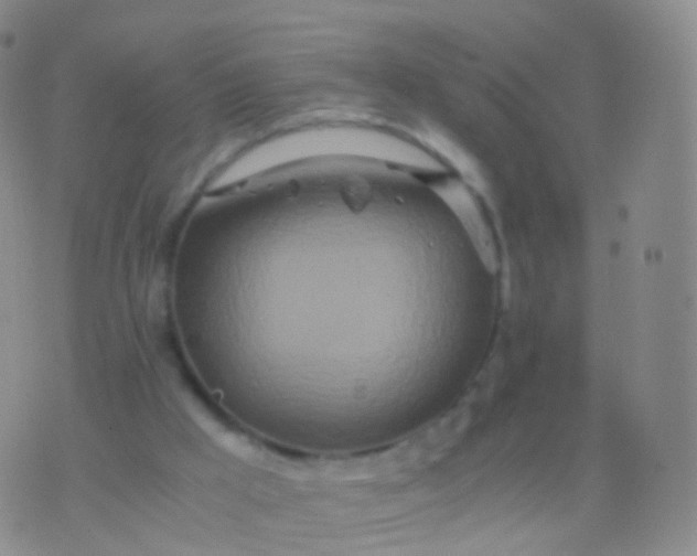 X0000076430009200610202256