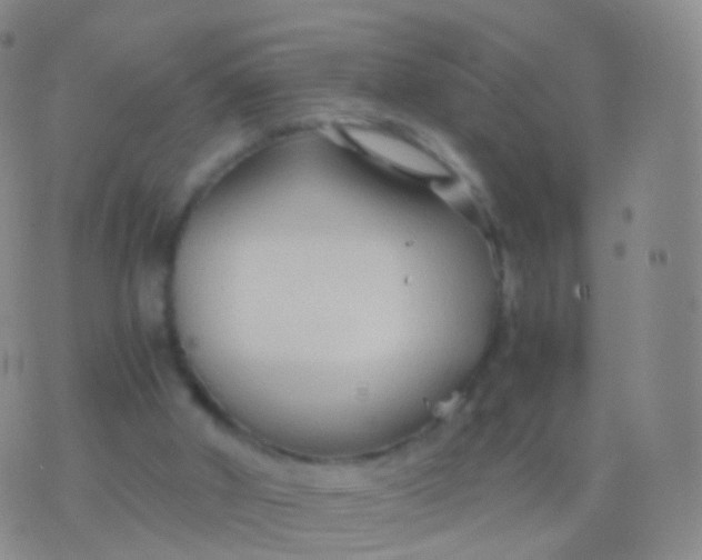 X0000076430010200610202256