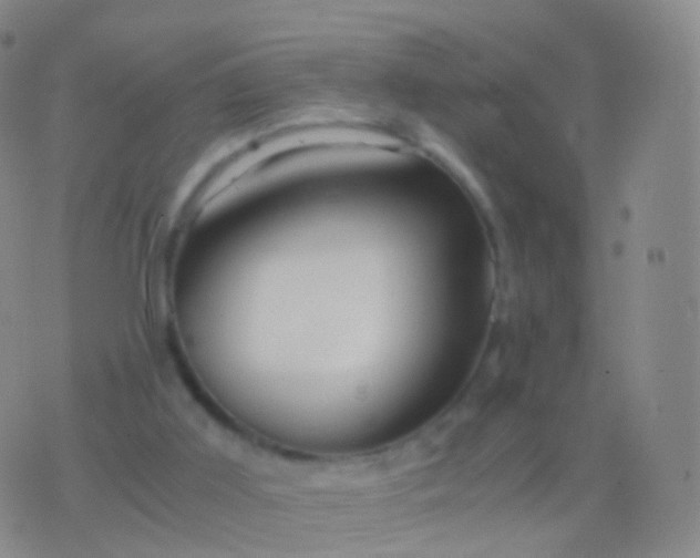 X0000076430011200610202256