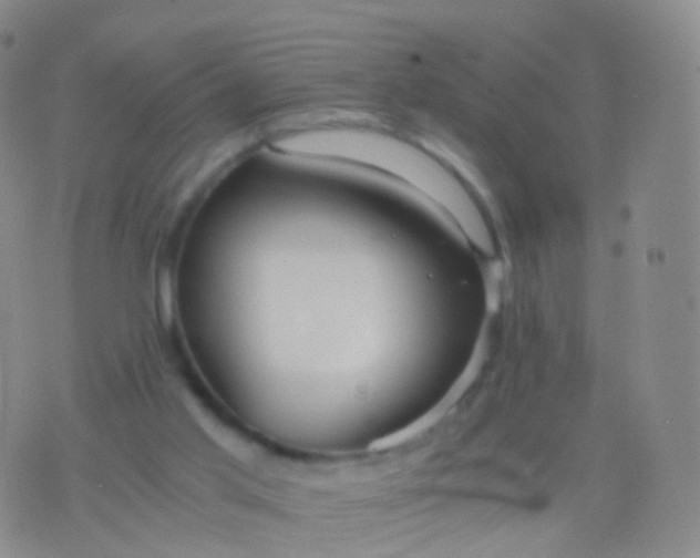 X0000076430013200610202256