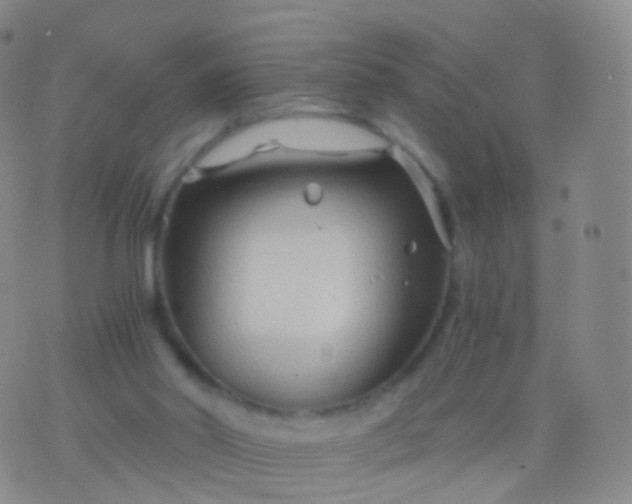 X0000076430014200610202256