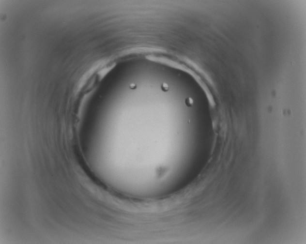 X0000076430015200610202256