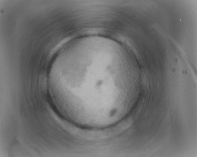 X0000076430016200610202256