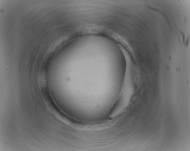 X0000076430017200610202256