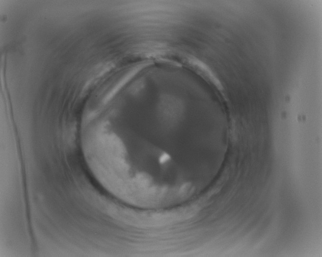 X0000076430018200610202256