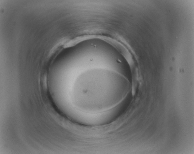 X0000076430019200610202256