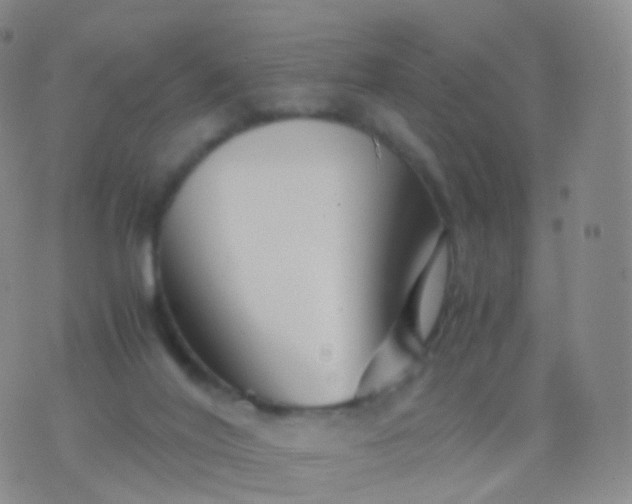 X0000076430020200610202256