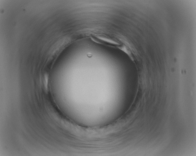 X0000076430022200610202256