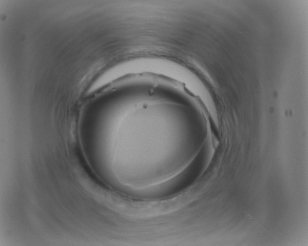 X0000076430023200610202256