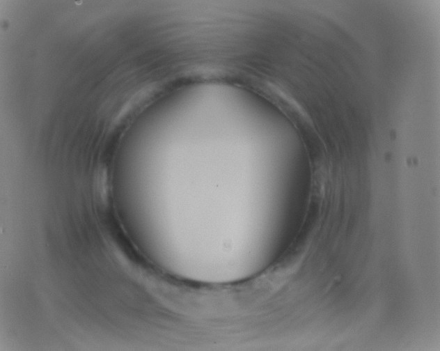 X0000076430024200610202256