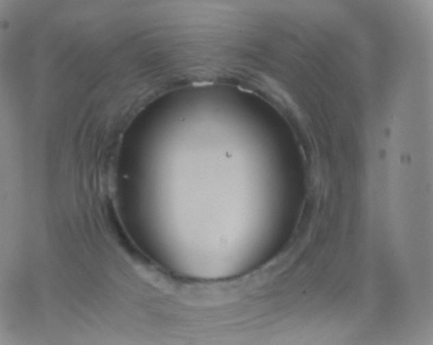 X0000076430025200610202256