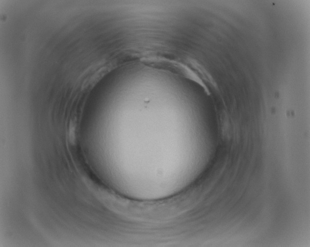 X0000076430026200610202256