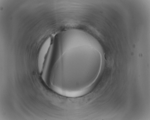 X0000076430027200610202256