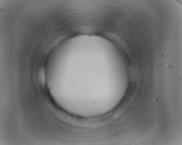 X0000076430028200610202256