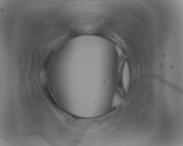 X0000076430029200610202256