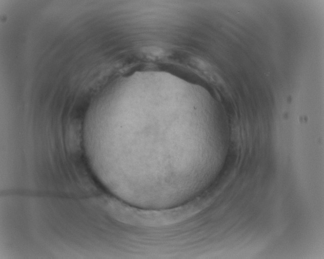 X0000076430030200610202256