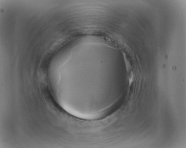 X0000076430031200610202256