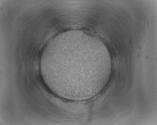 X0000076430032200610202256