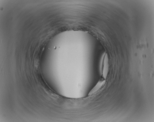 X0000076430033200610202256