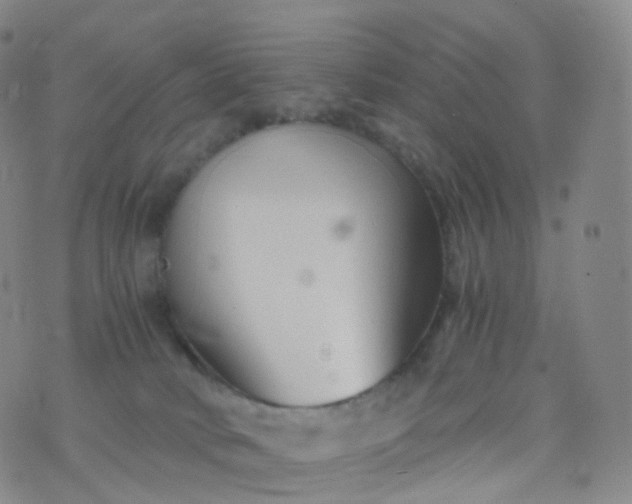 X0000076430034200610202256