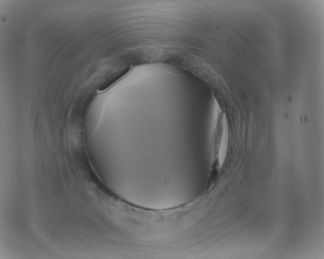 X0000076430035200610202256