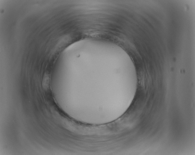 X0000076430036200610202256