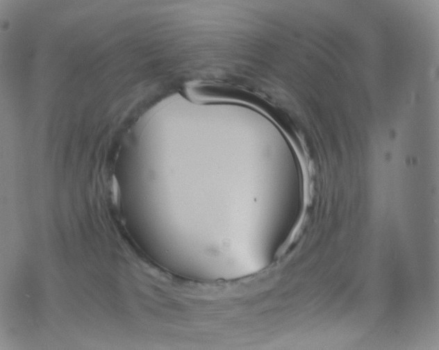 X0000076430037200610202256