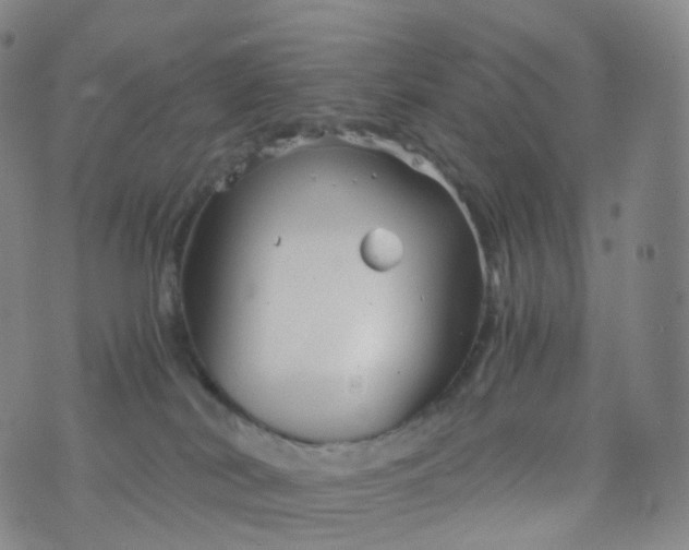 X0000076430038200610202256