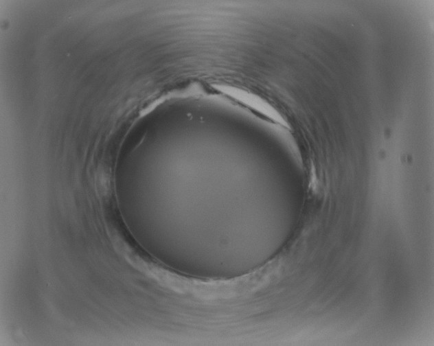 X0000076430039200610202256