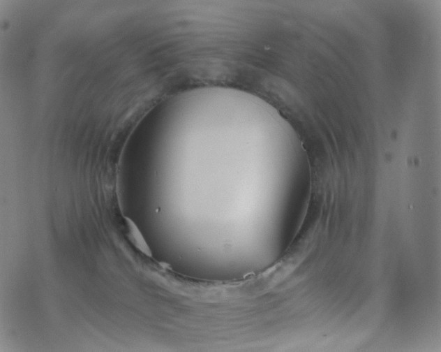 X0000076430040200610202256