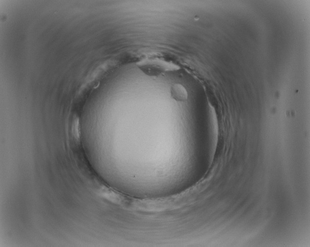 X0000076430041200610202256