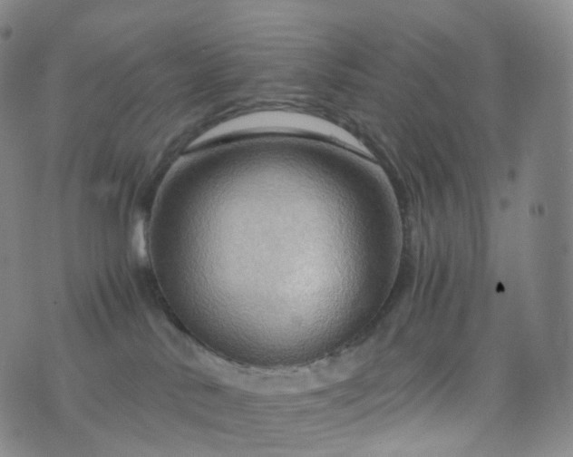 X0000076430042200610202256