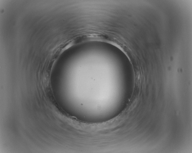 X0000076430043200610202256