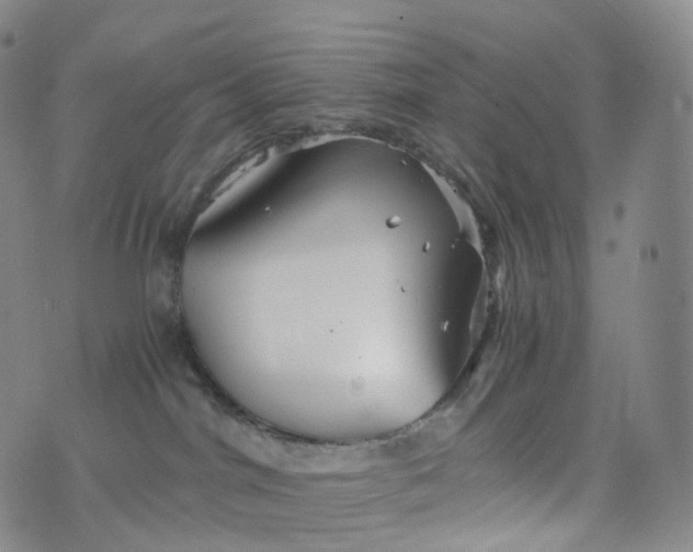 X0000076430044200610202256