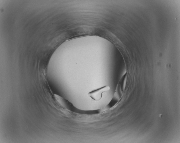 X0000076430045200610202256