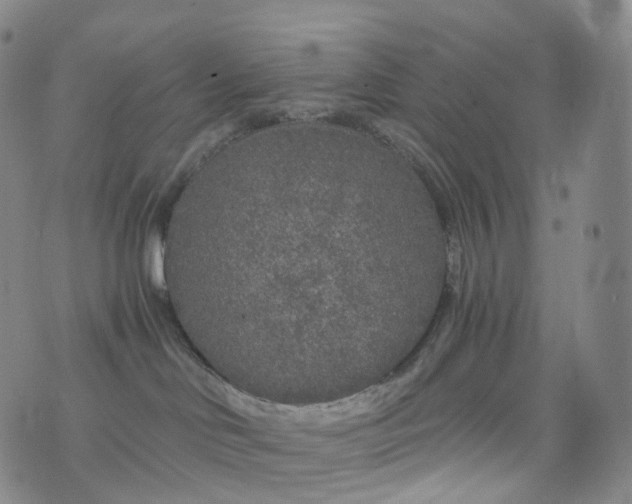 X0000076430046200610202256