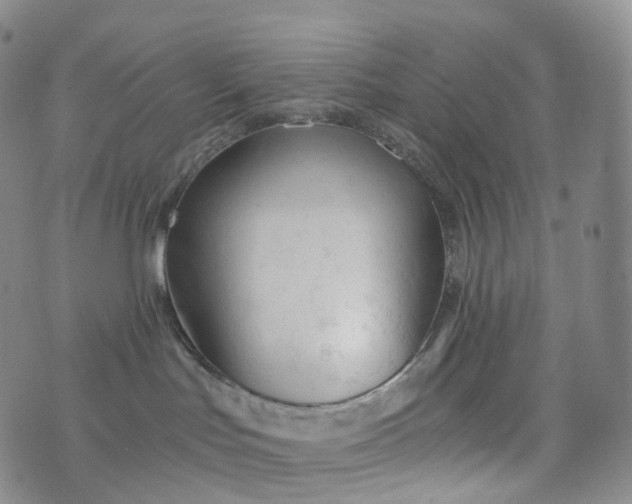 X0000076430047200610202256