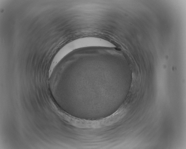 X0000076430048200610202256